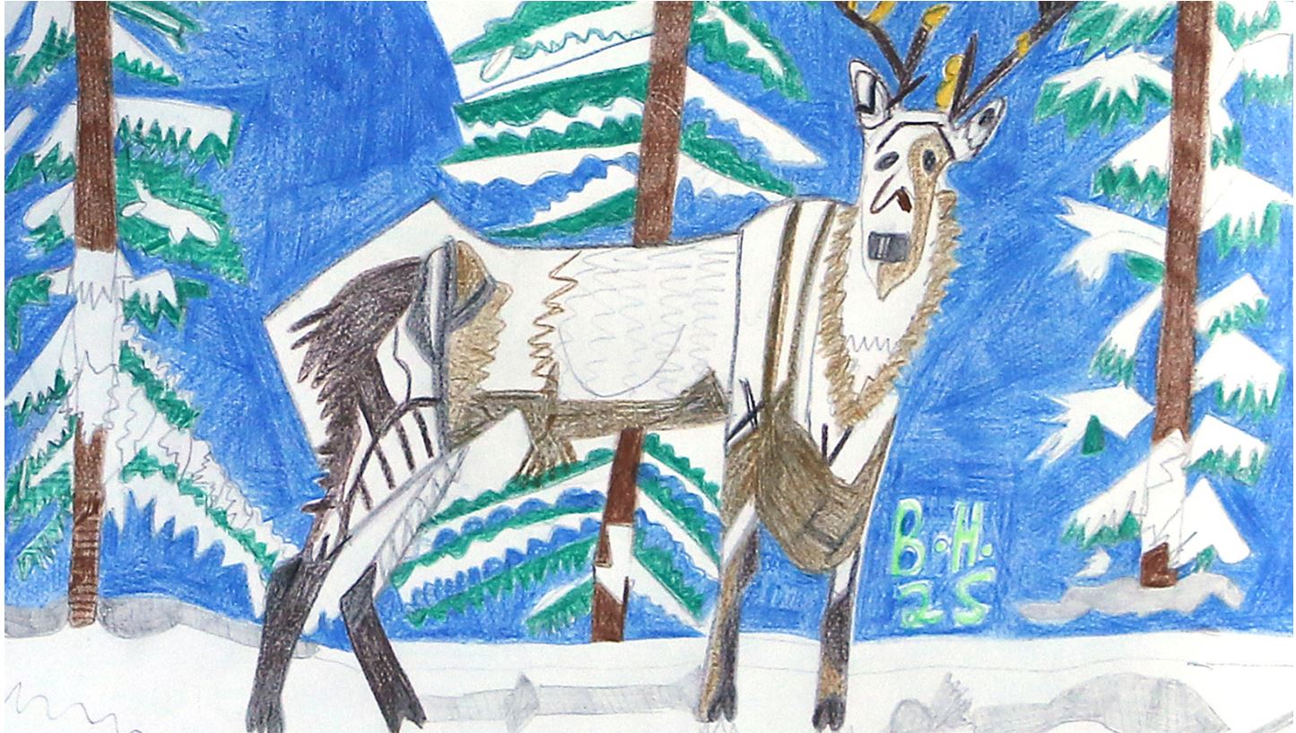 Ein mit Buntstiften gemaltes Bild: Ein Rentier steht im Schnee vor drei Fichten